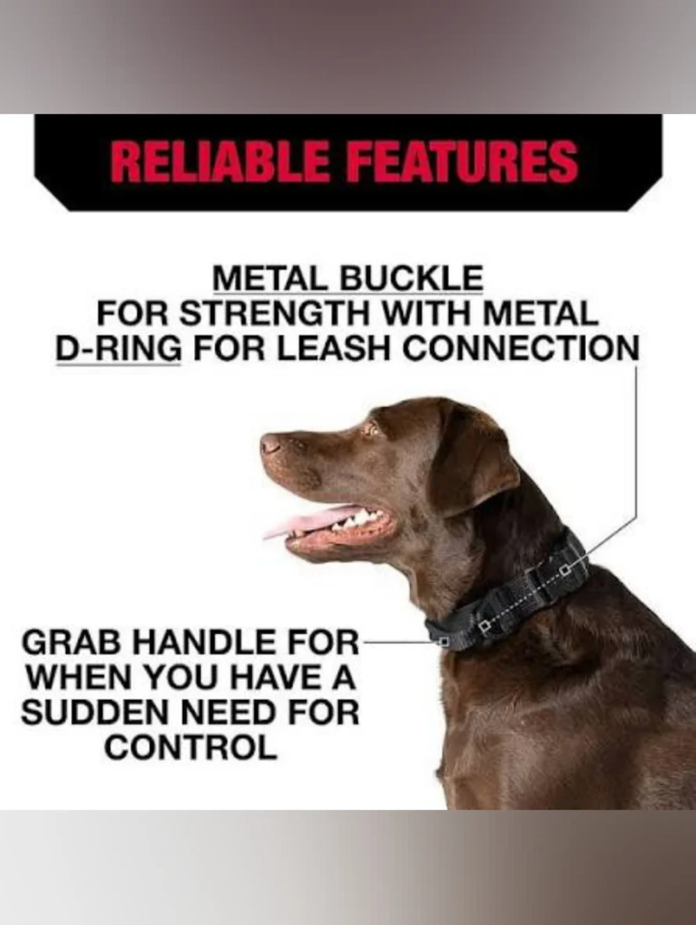 NWT • KONG® Max HD Ultra Durable Dog Collar with Handle (Pink) • Various Sizes